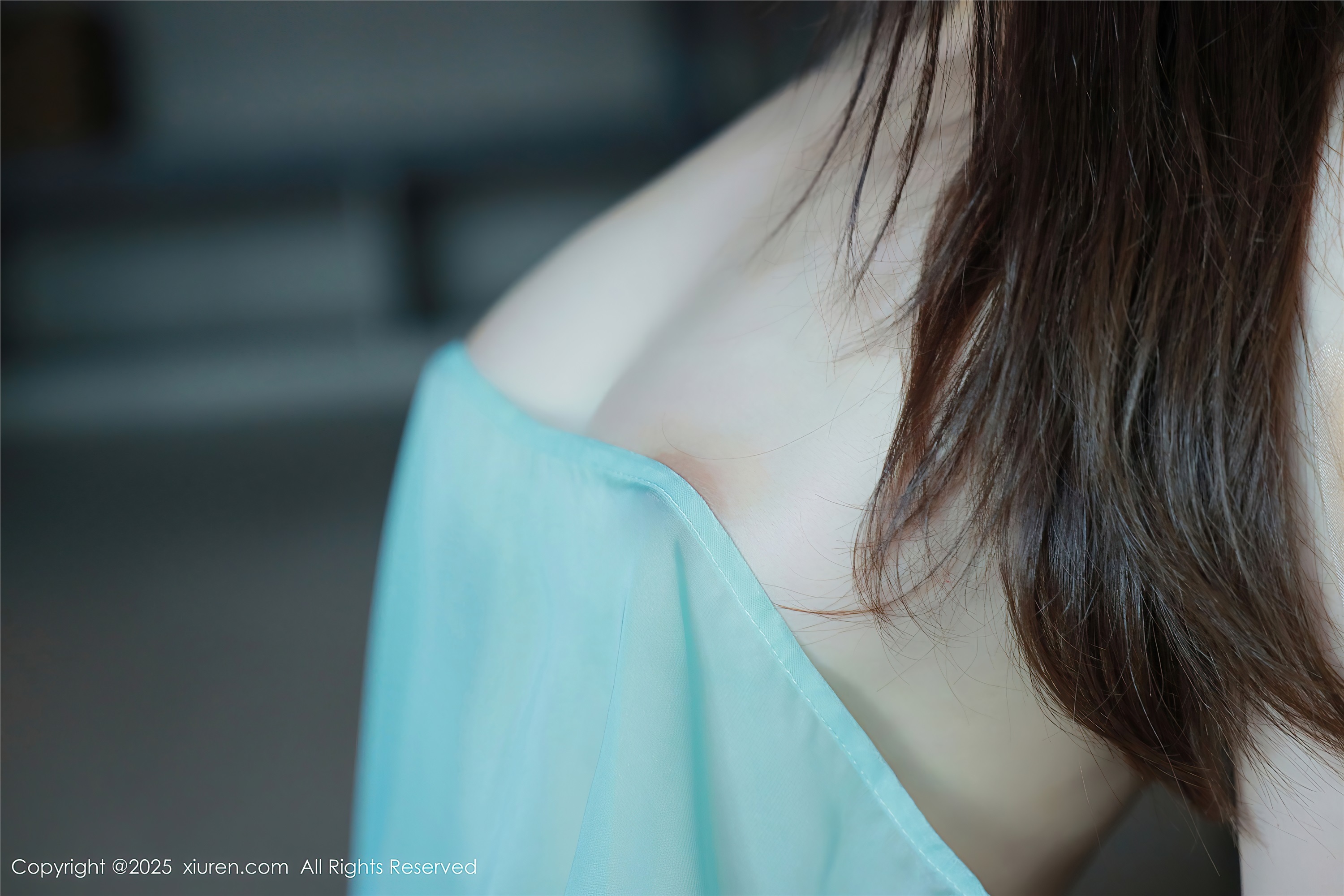 Xiuren秀人网 2025.01.24 NO.9807 Evelyn艾莉